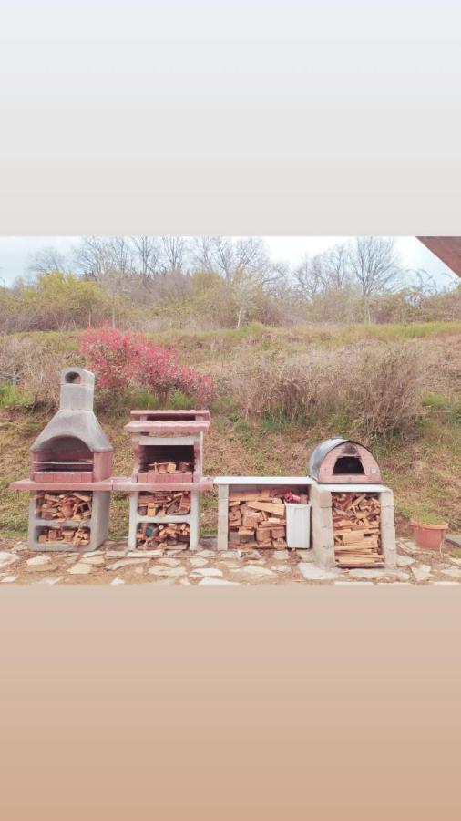 Il Podere Di Massi Barberino di Mugello Exteriér fotografie