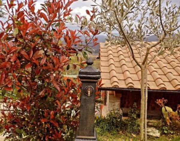Il Podere Di Massi Barberino di Mugello Exteriér fotografie