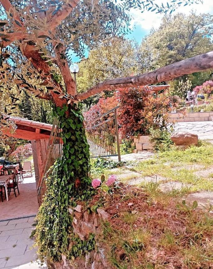 Il Podere Di Massi Barberino di Mugello Exteriér fotografie