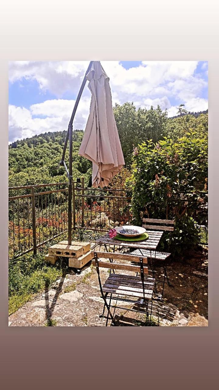 Il Podere Di Massi Barberino di Mugello Exteriér fotografie