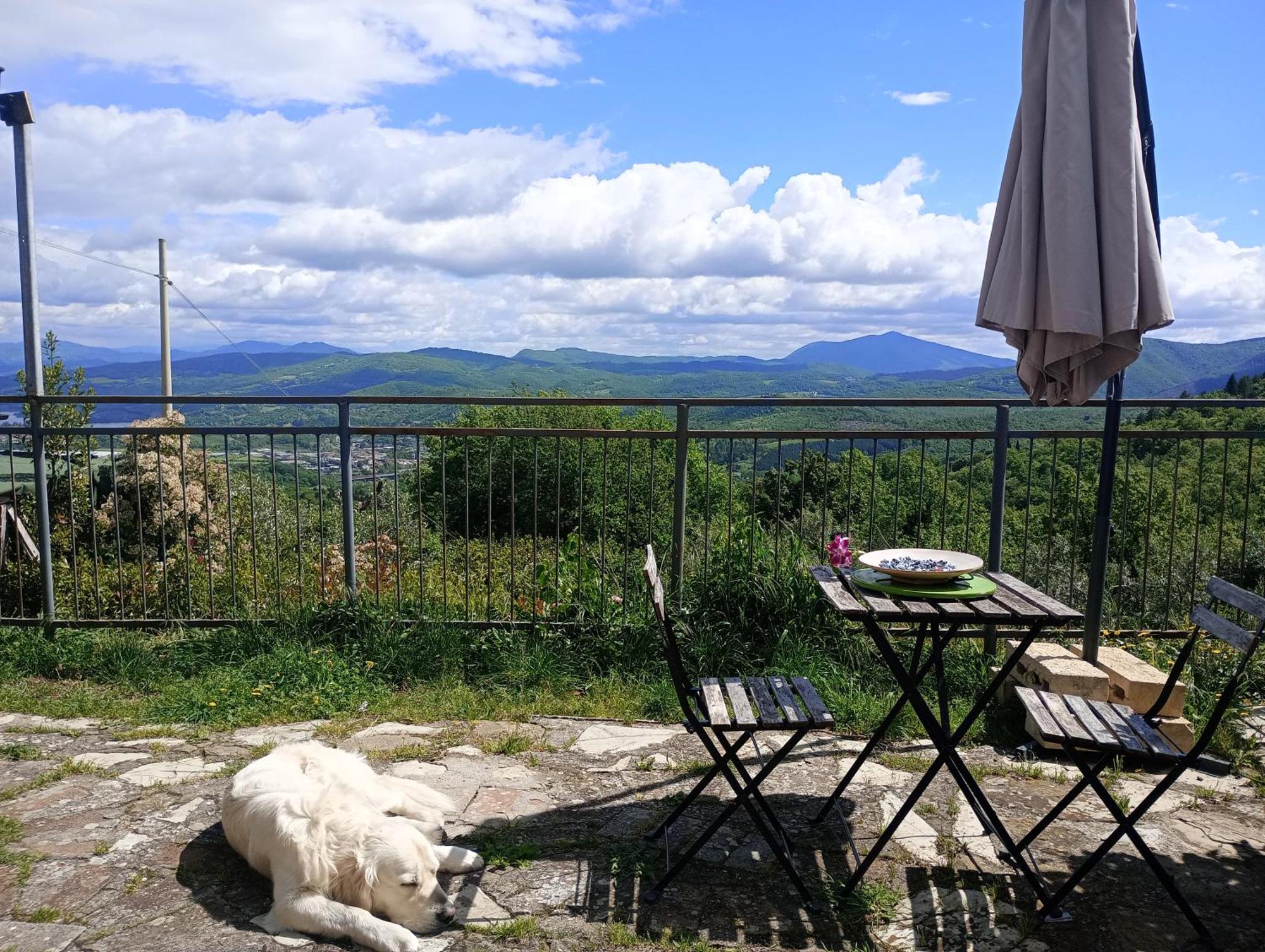 Il Podere Di Massi Barberino di Mugello Pokoj fotografie