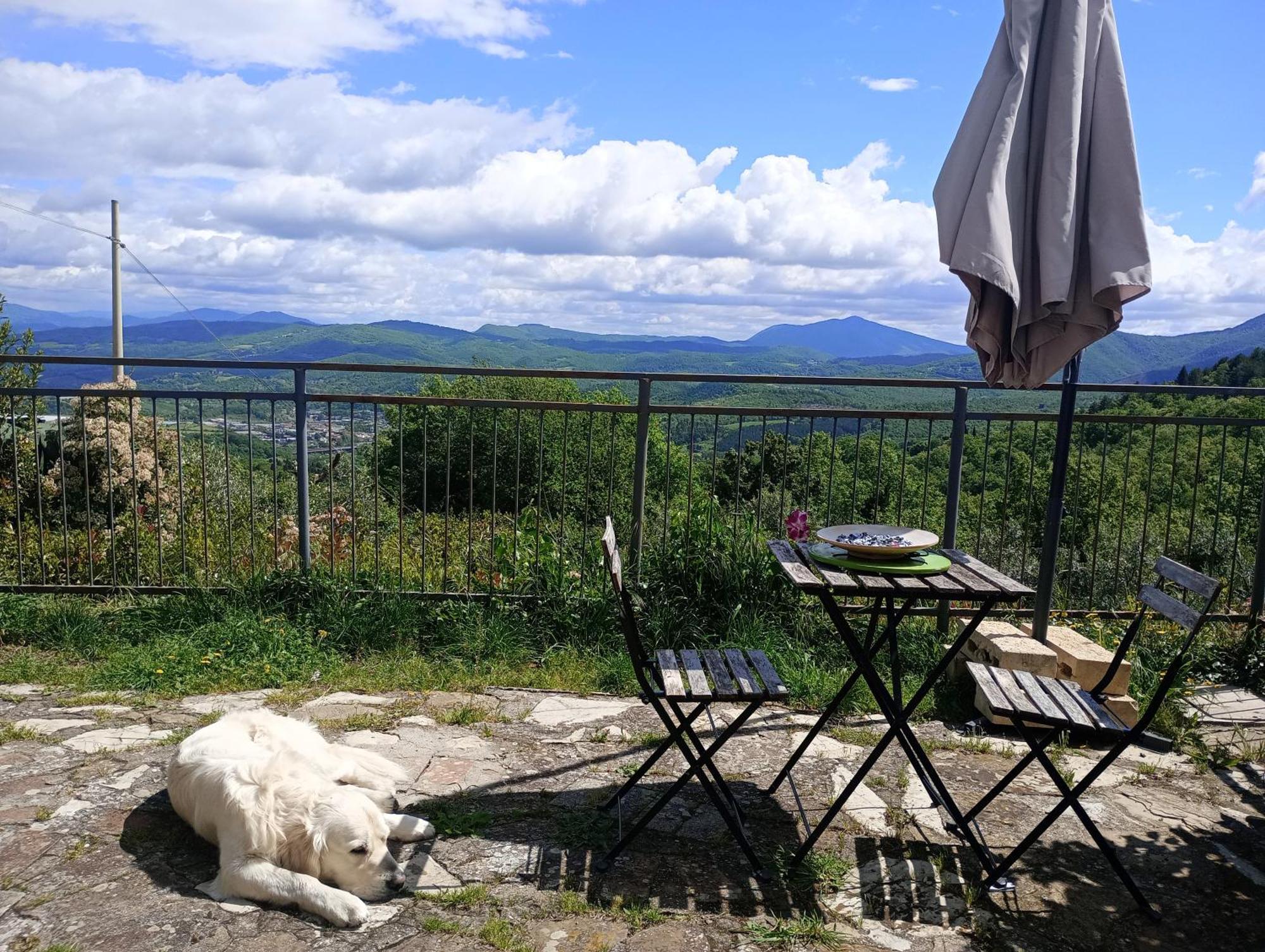 Il Podere Di Massi Barberino di Mugello Exteriér fotografie