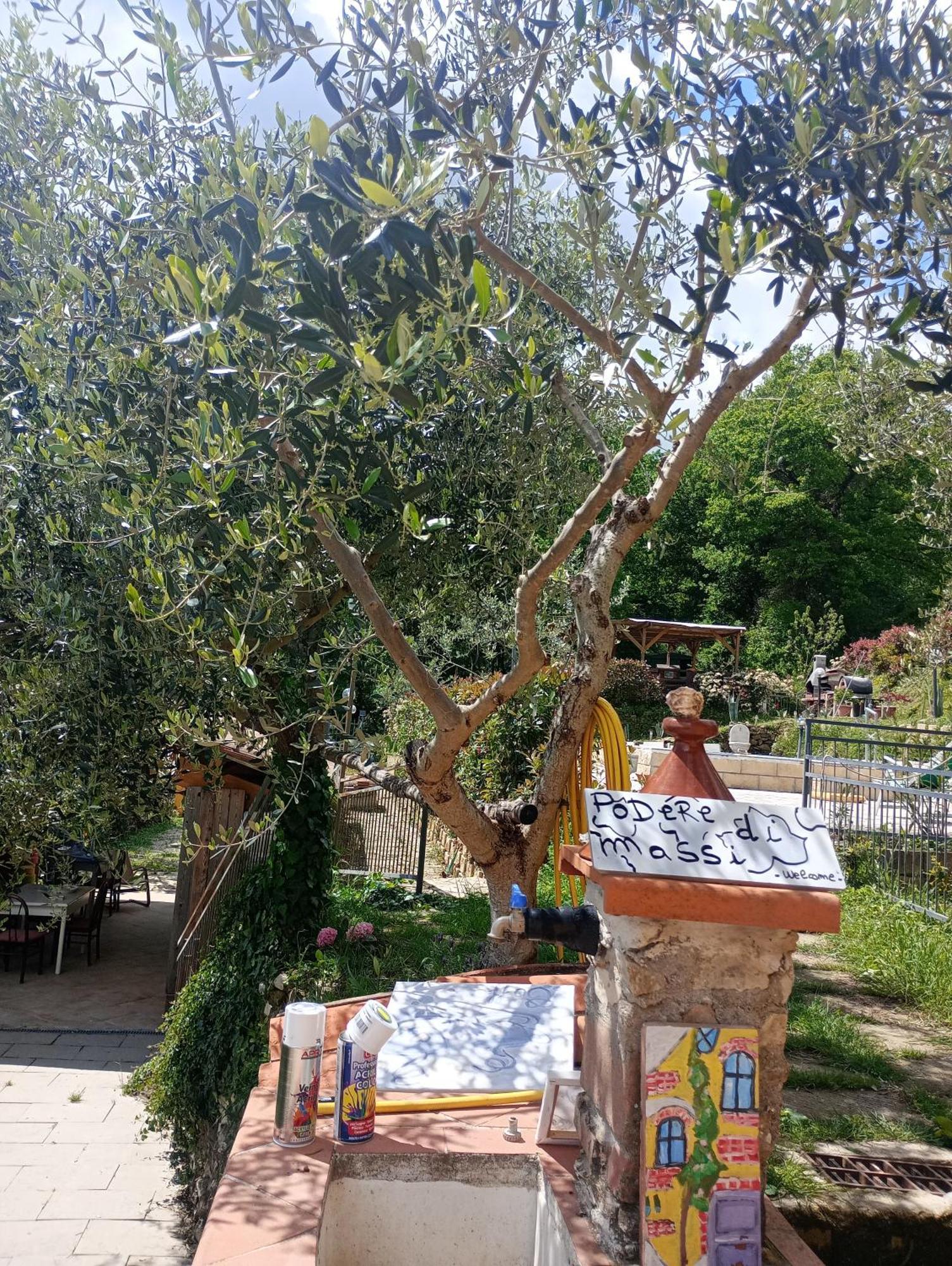 Il Podere Di Massi Barberino di Mugello Exteriér fotografie